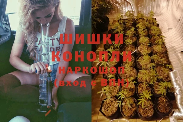 прущий лед Инта