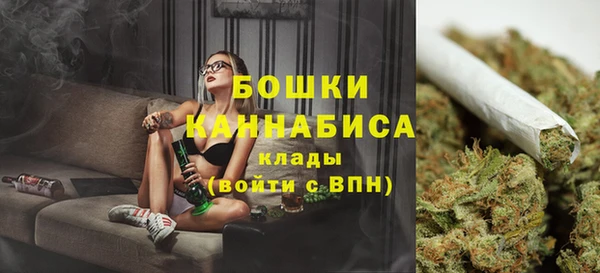 индика Касимов