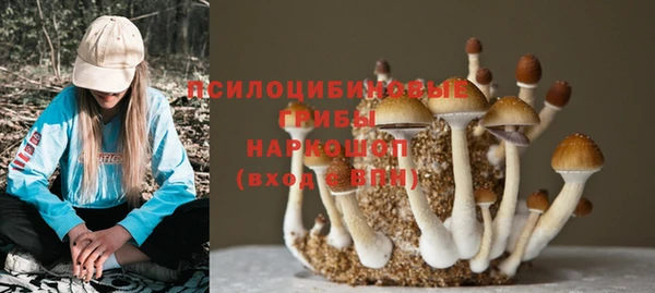 a pvp Каменск-Шахтинский